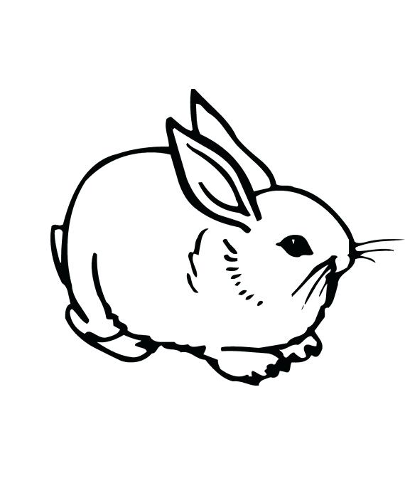 570x700 Pretty Bunny Coloring Page Best Of Drawn Cottontail Rabbit Pencil
