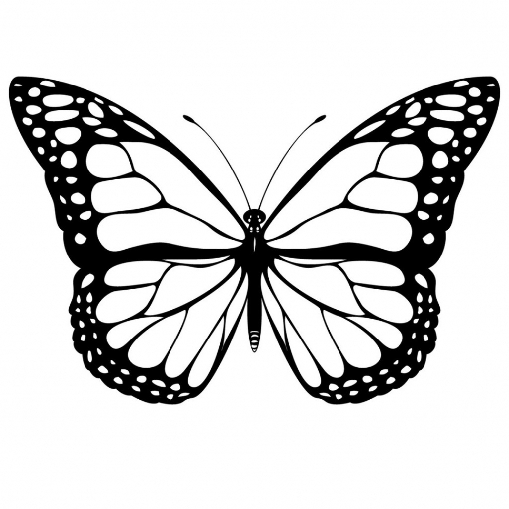 1024x1024 How To Draw A Realistic Butterfly How To Draw A Realistic