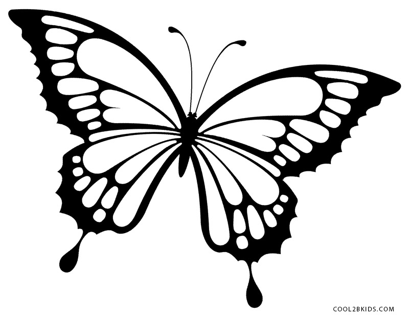 800x620 Realistic Butterflies To Color Butterfly Coloring Pages For Girls