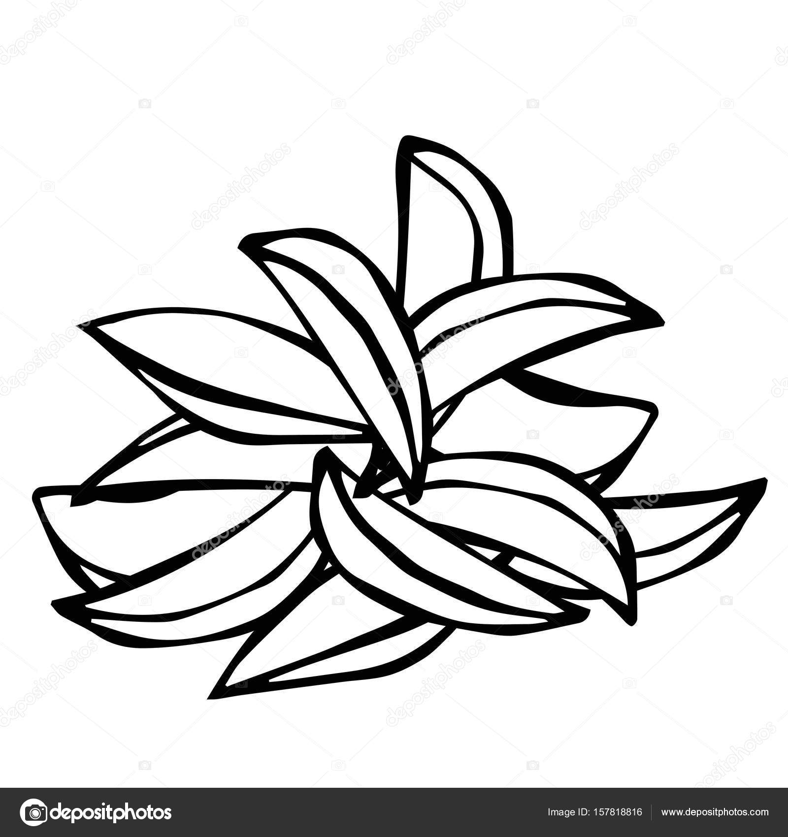 1600x1700 Potato Wedges Set. Fast Food. Isolated On A White Background