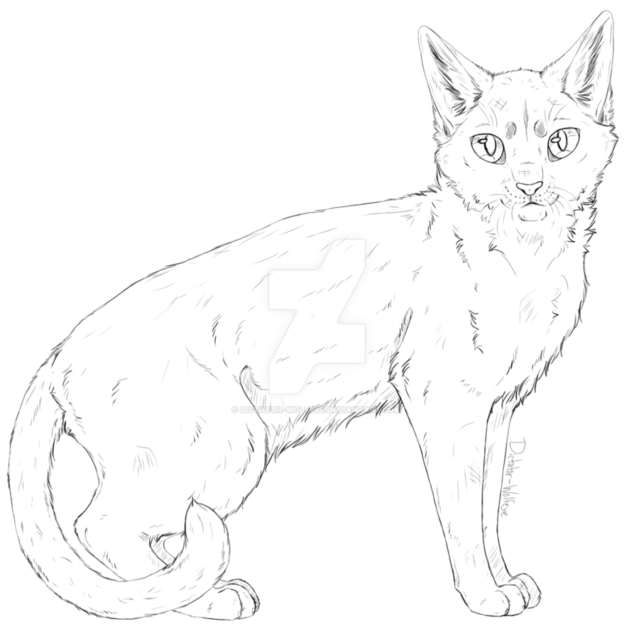 893x894 Semi Realistic Cat Lineart [Pay To Use] By Dictator Wolfeye