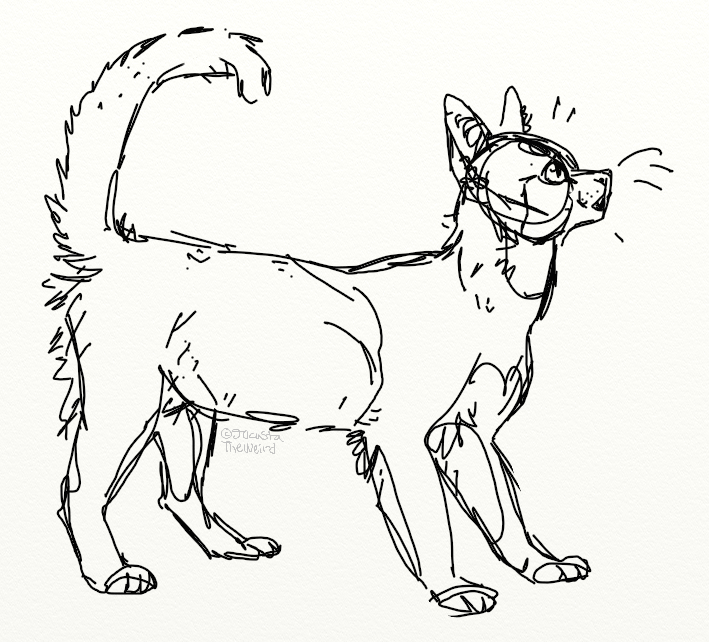 709x642 Semi Realistic Cat Doodle By Homeqrown