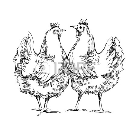 450x450 Hand Made Sketch Of Chicken. Vector Illustration. Royalty Free