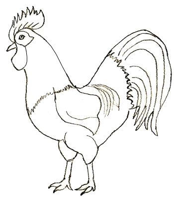 350x397 How To Draw A Rooster, Step 5 Roosters Drawings