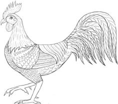 236x208 How To Draw A Hen Step 5 Art Hens, Drawings And Bird
