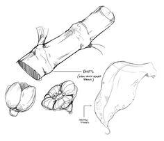 236x203 How To Draw Realistic Shrubs