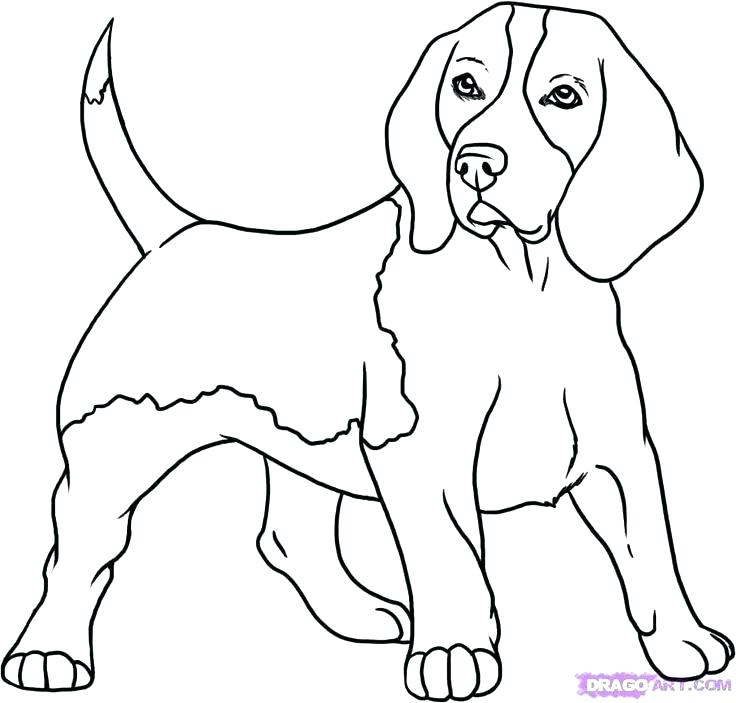 736x703 Dogs Coloring Pages Dog Coloring Page For Kids Dog Coloring Pages