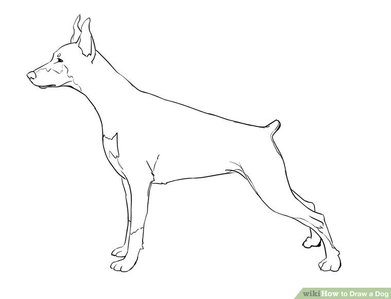 Realistic Dog Drawing at GetDrawings | Free download