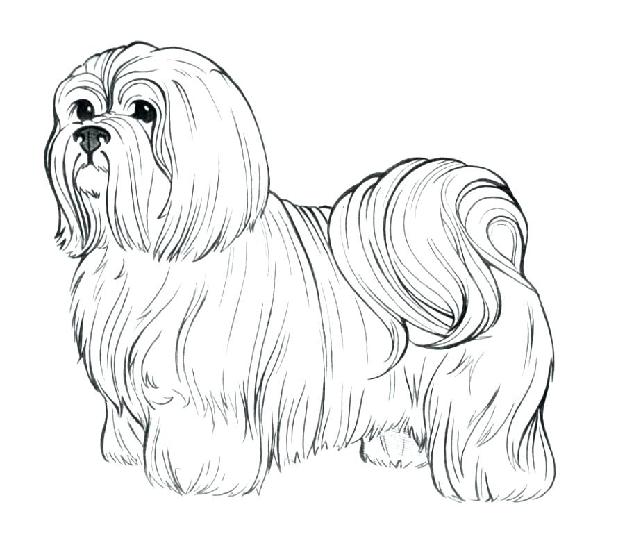 900x779 Realistic Coloring Pages Of Animals Astounding Realistic Dog