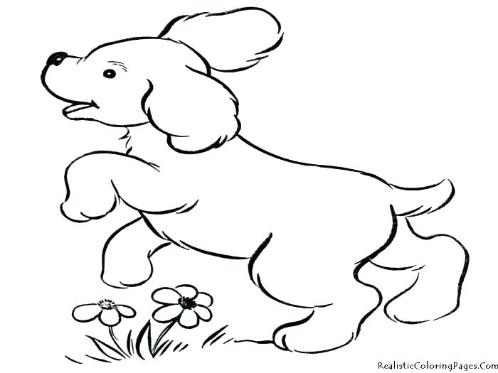 700x525 Beautiful Coloring Pages Dogs And Cats Free Download Realistic Dog