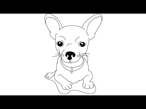 480x360 How To Draw A Chihuahua