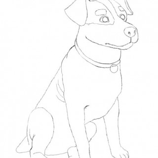 320x320 Realistic Dog Drawing Tutorial How To Draw A Real Step 4