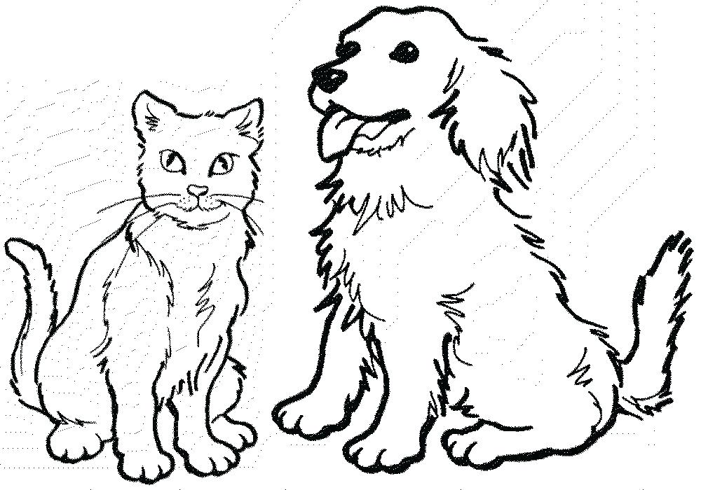 1000x700 Dogs Coloring Page Realistic Dog Coloring Pages Free