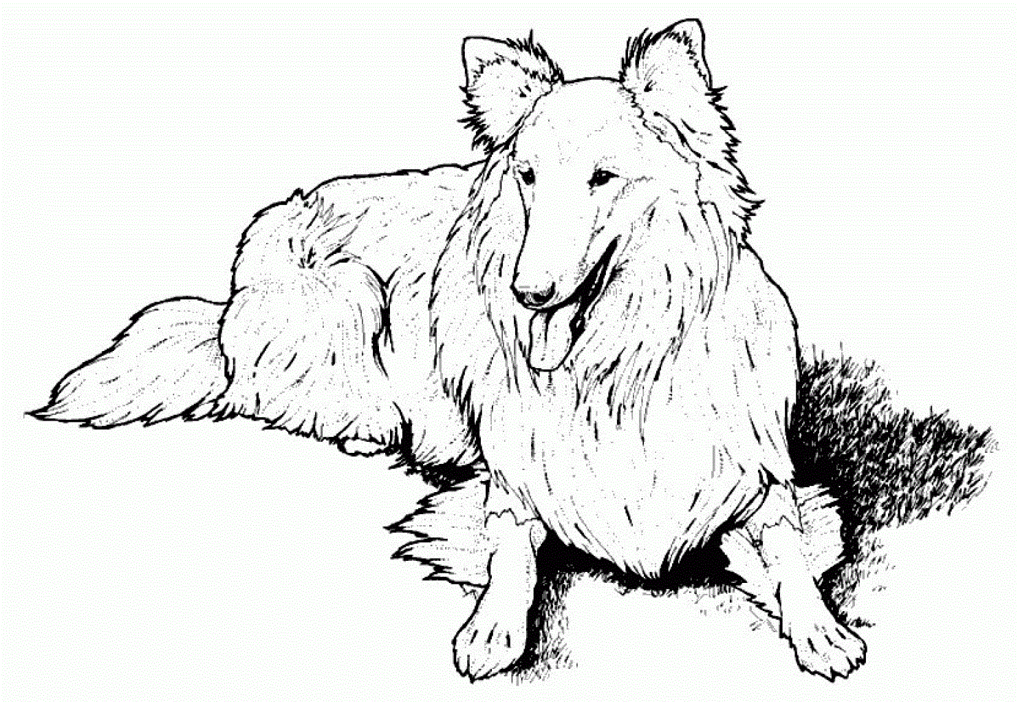 1480x1020 Free Printable Dog Coloring Pages For Kids
