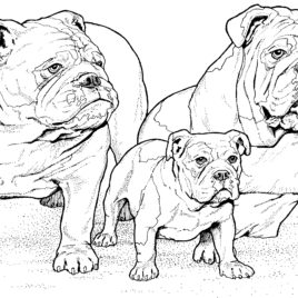 268x268 Coloring Pages Of Real Dogs Kids Drawing And Coloring Pages