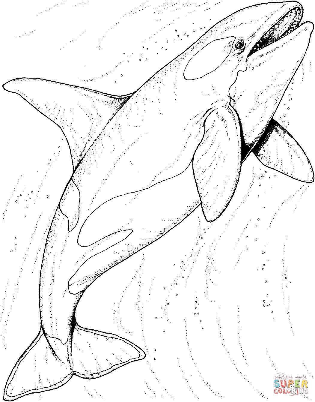 1051x1340 Exciting Killer Whale Coloring Pages Orca In The Ocean Page Free