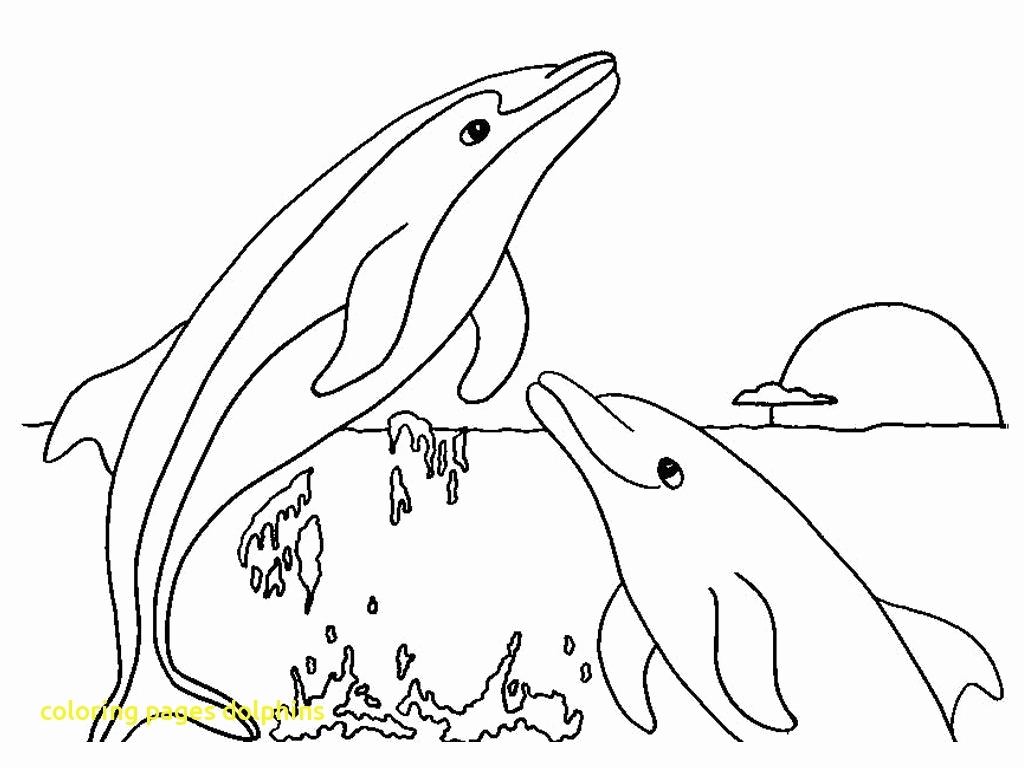 1024x768 50 Awesome Images Of Coloring Pages Of Dolphins