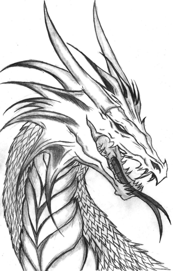 688x1080 Httpcolorings.corealistic Dragon Head Coloring Pages