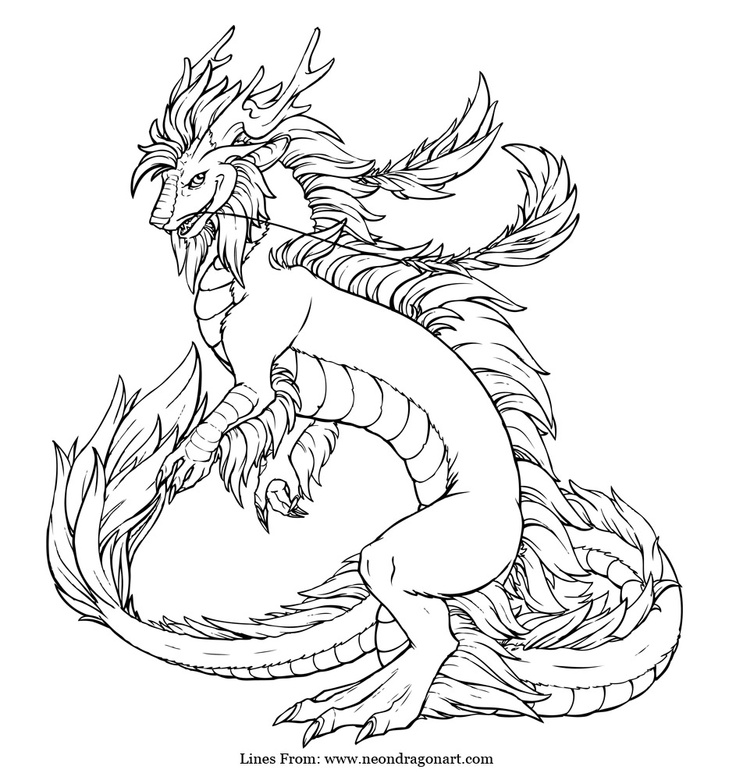 736x780 Realistic Dragon Coloring Pages Coloring Free