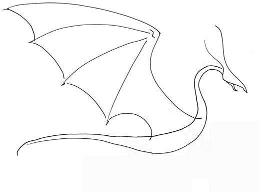 520x383 Perfectdragon4 10.jpg