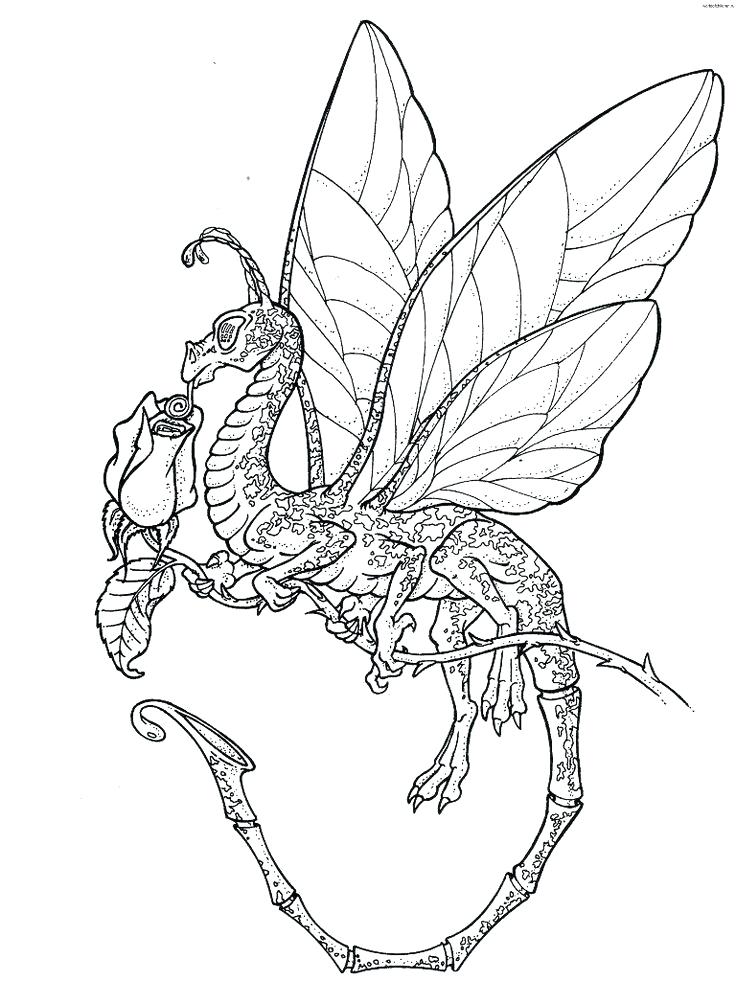 736x981 Realistic Dragon Coloring Pages
