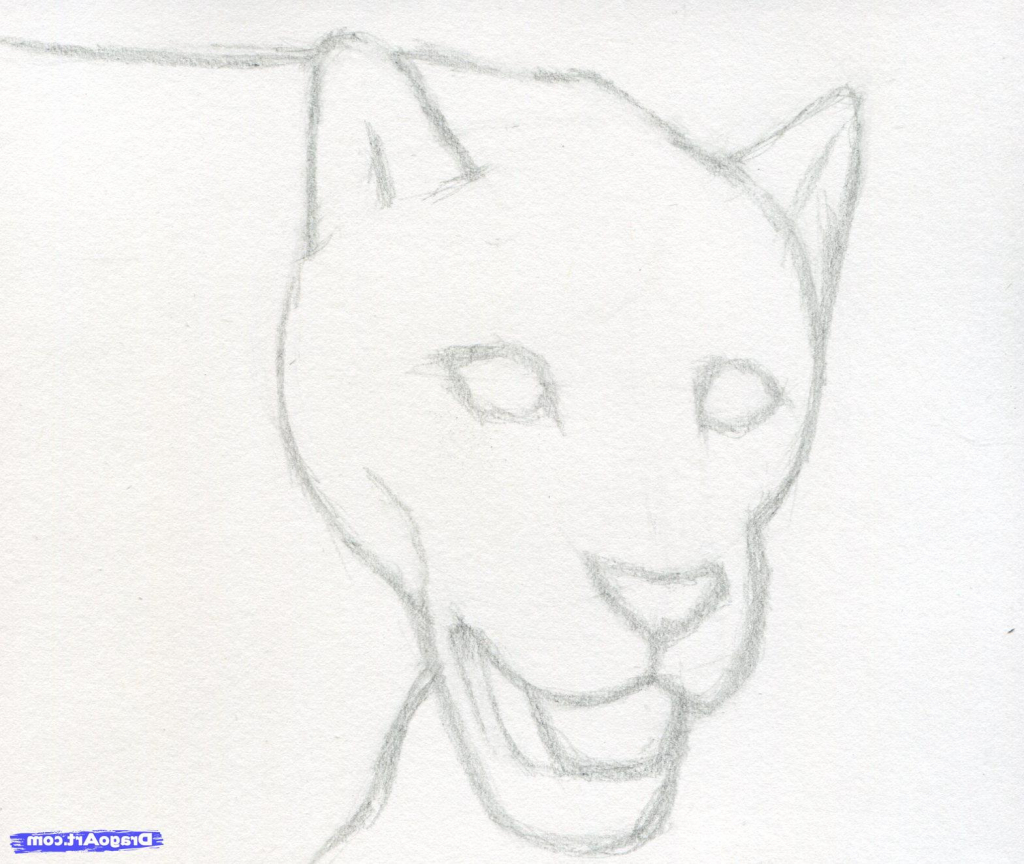 1024x864 How To Draw Realistic Animals With Pencil Step By Step Beautiful