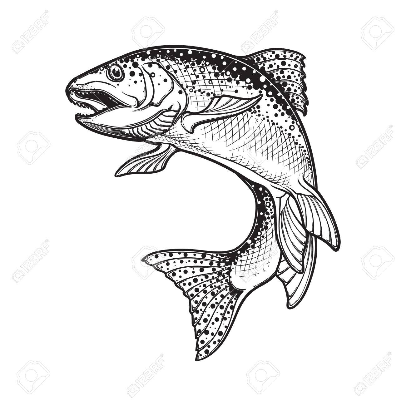 1300x1300 Realistic Intricate Drawing Of The Rainbow Trout Jumping Out