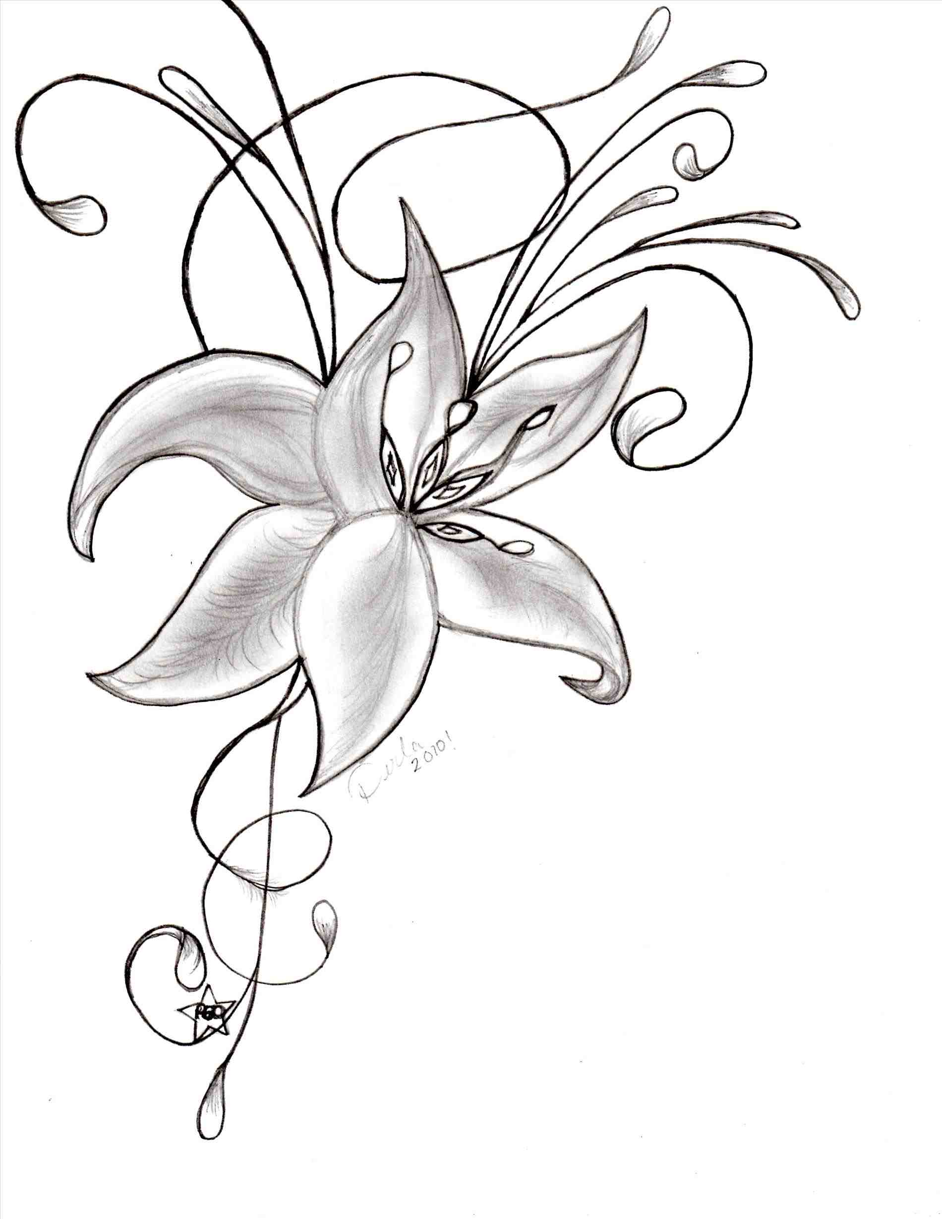 Realistic Drawing Of A Flower at GetDrawings | Free download