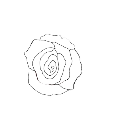 400x450 How To Draw A Realistic Rose Of Photoshop