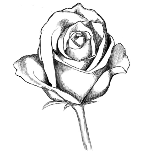 666x615 Pin By Shawna Platt On Tats Tatting