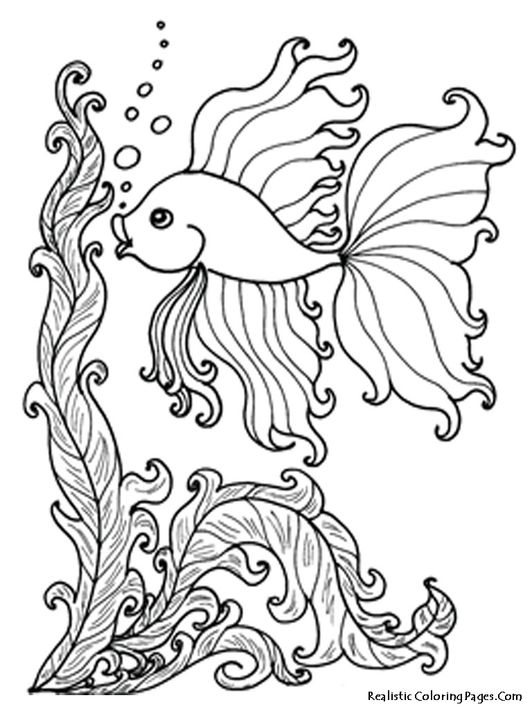 768x1024 Drawing Ocean Animals Realistic Ocean Animal Coloring Pages