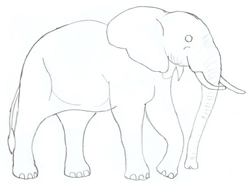 500x377 How To Draw An Elephant