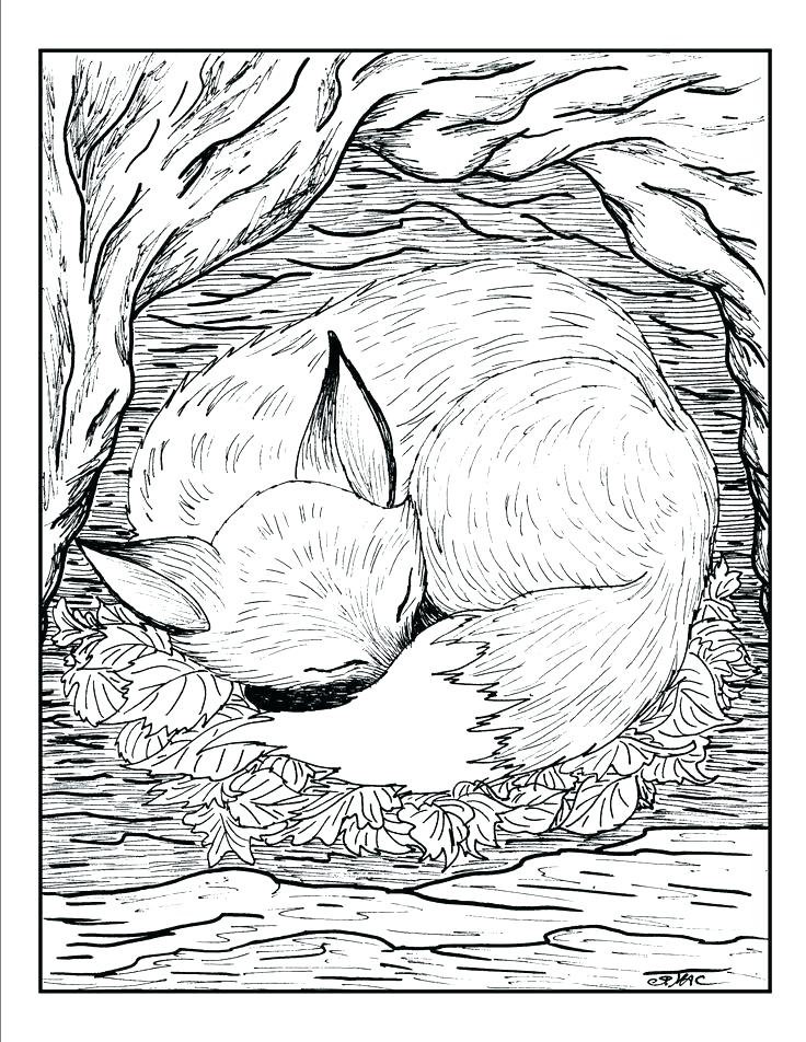 736x952 Coloring Pages Animals Easy Animal Coloring Pages Animal Coloring
