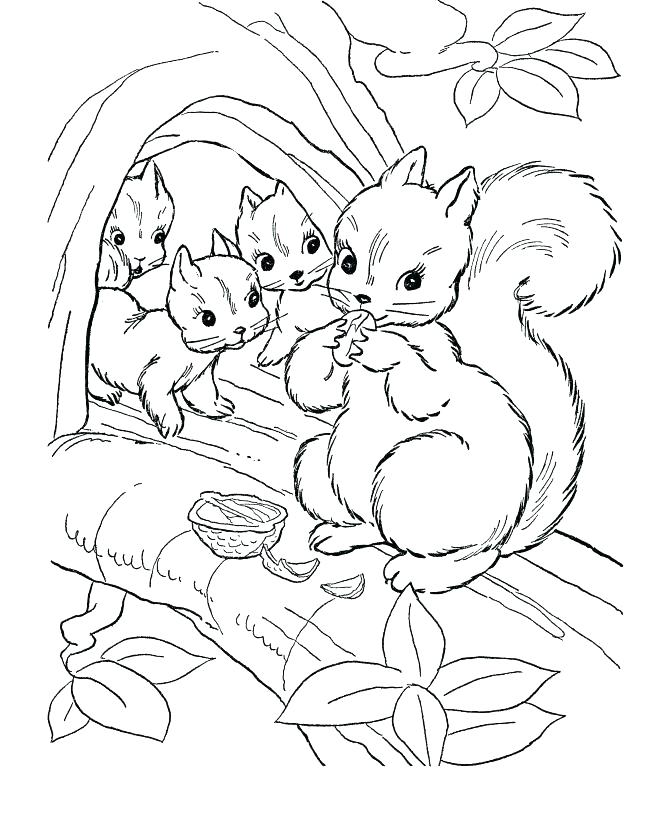 670x820 Cool Realistic Animal Coloring Pages Fee Wild Click The Baby