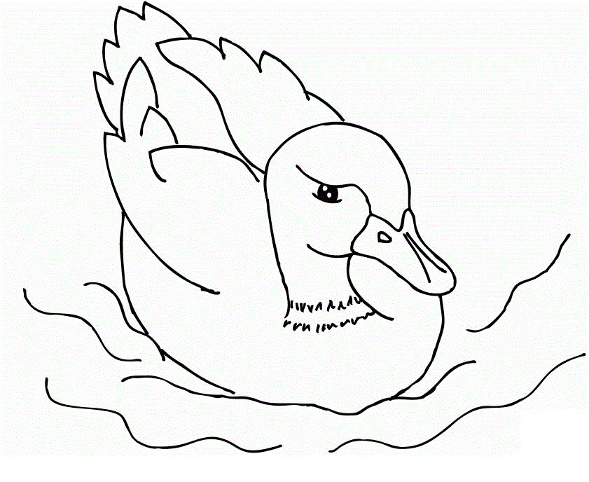 841x688 Free Printable Duck Coloring Pages For Kids