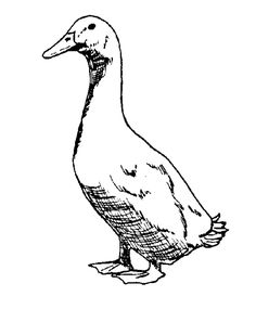 236x285 Goose Coloring Page Program Ideas And Inspiration