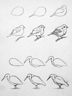 236x316 Check Out Other How To's For Birds And Other Drawing Art Lessons