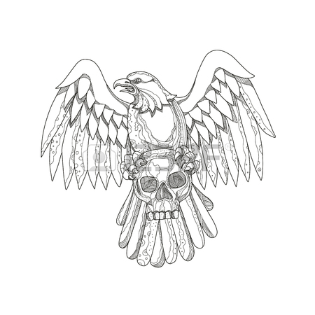 450x450 Bald Eagle Pattern Stock Photos Amp Pictures. Royalty Free Bald