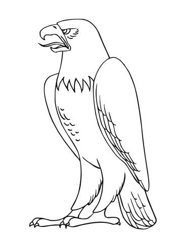 360x480 Bald Eagle Coloring Page Free Printable Coloring Pages