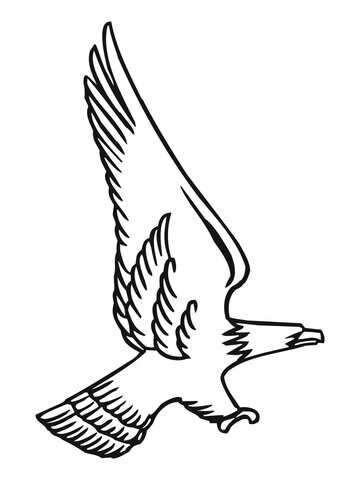 360x480 Attacking Bald Eagle Coloring Page Free Printable Coloring Pages