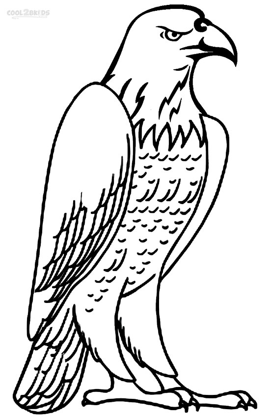554x850 Printable Bald Eagle Coloring Pages For Kids Cool2bkids