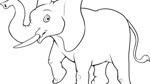 570x320 How To Draw Elephant How To Draw A Realistic Elephant Draw Real