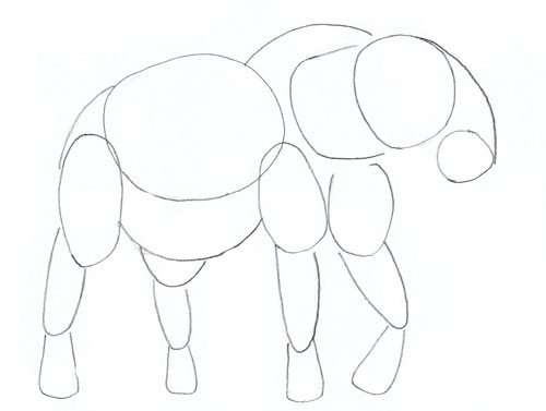 500x377 How To Draw An Elephant