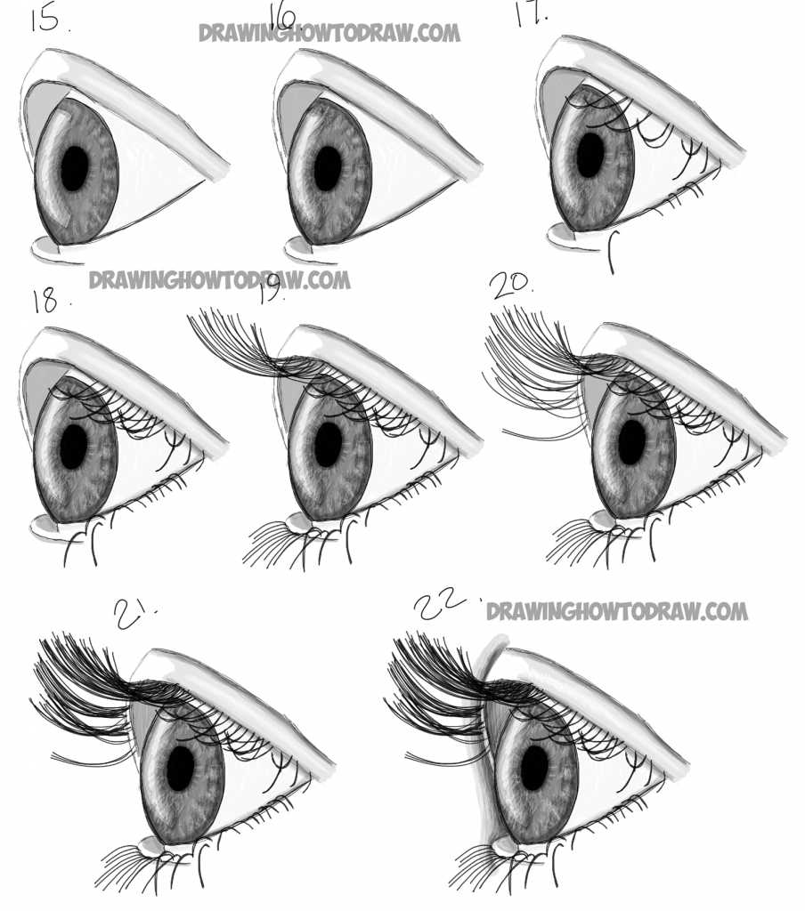 904x1024 Drawing A Eye Step By Step How To Draw Realistic Eyes