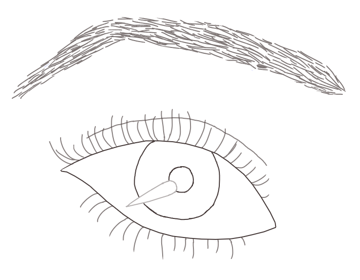 737x573 Realistic Eye Outline By Gamenhuang