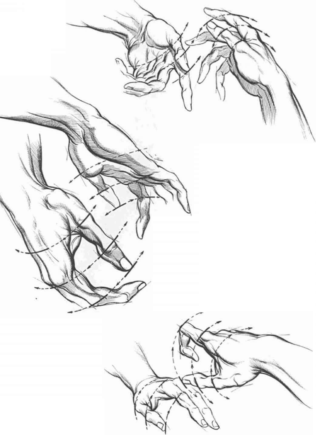 1042x1432 Line Art Realistic Fingers Drawing Finger, Anatomy