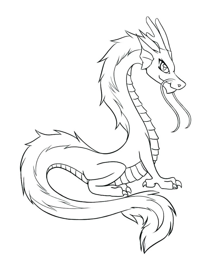 736x926 Real Dragon Coloring Pages