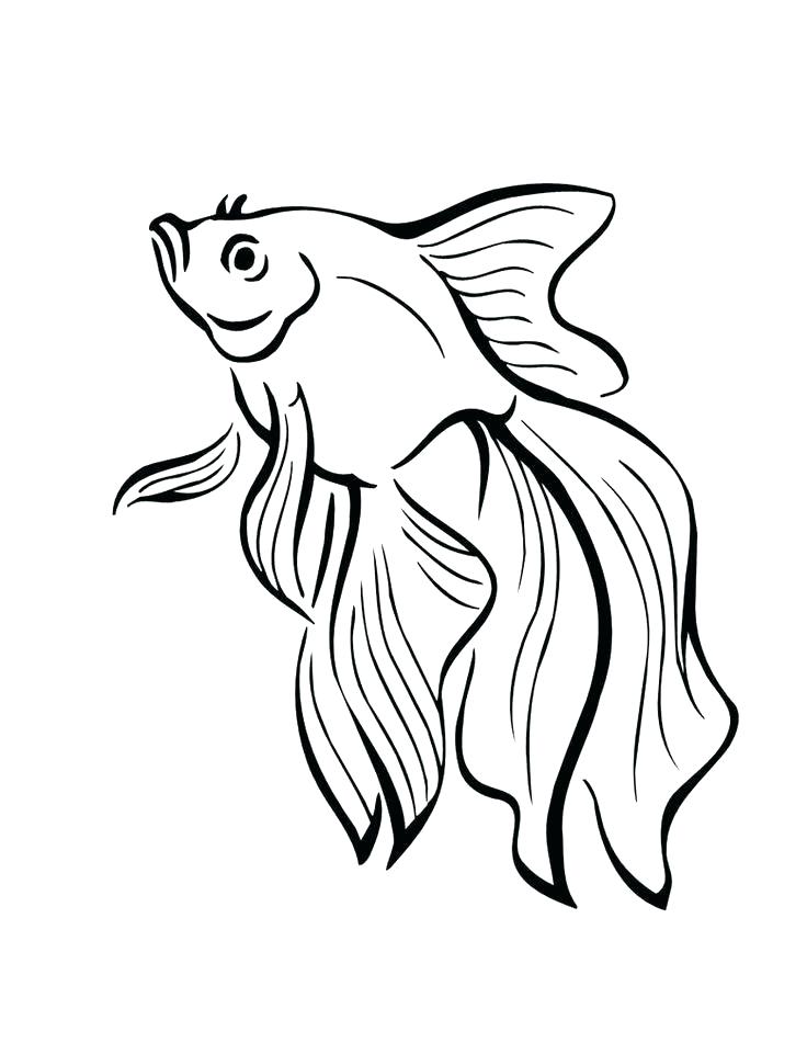 736x951 Fish Coloring Sheet Printable Realistic Fish Coloring Page