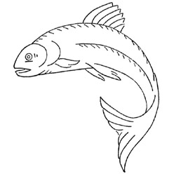 248x248 Realistic Fish Pattern Detail