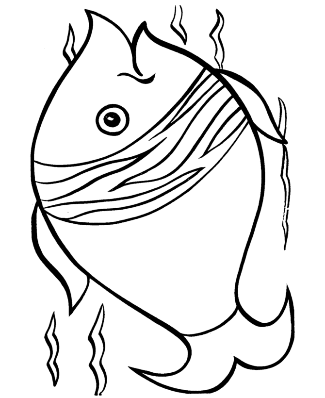 670x820 Realistic Fish Coloring Pages 337281